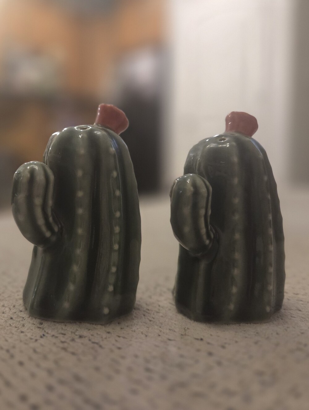 Ceramic Cactus Salt & Pepper Duo in Green with Pink Bloom